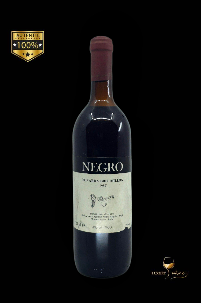 1987 vin vechi de colectie Bonarda Bric Millon vin vechi 1987