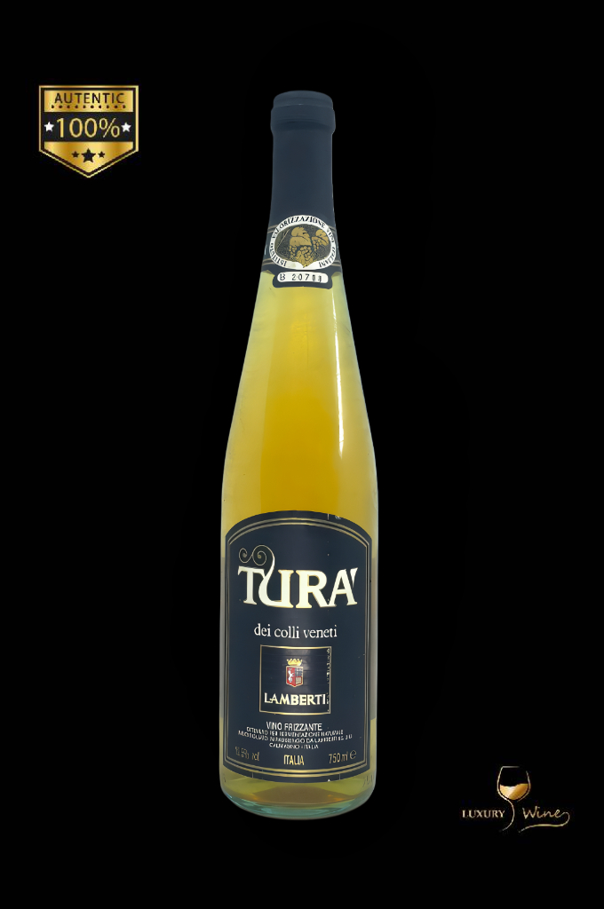 1993 vin vechi de colectie Tura dei Colli Veneti 1 vin de colectie 1993