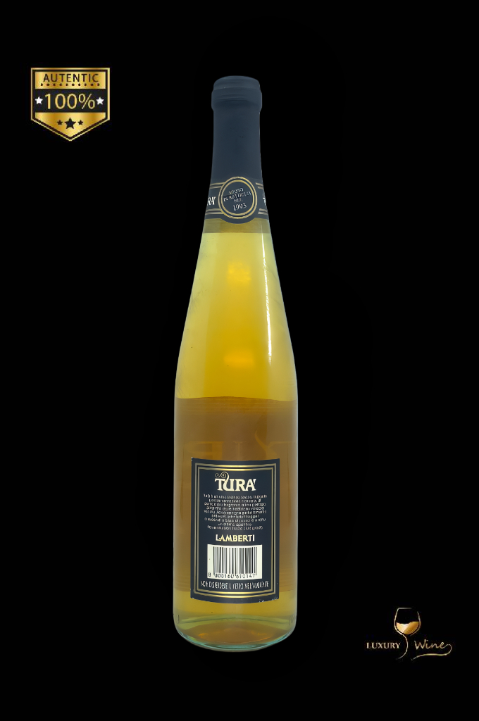 1993 vin vechi de colectie Tura dei Colli Veneti 2 vin vechi 1993